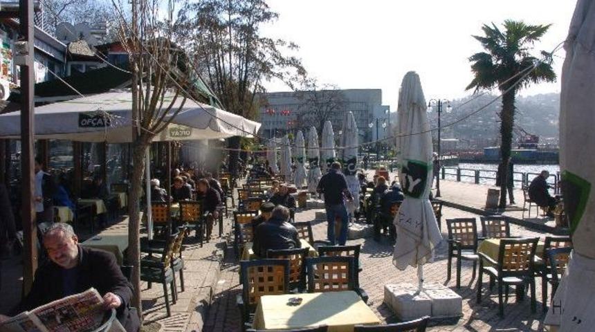 Kesilen S&ouml;ğ&uuml;t Ağacının Yerine Yeni Ağa&ccedil;