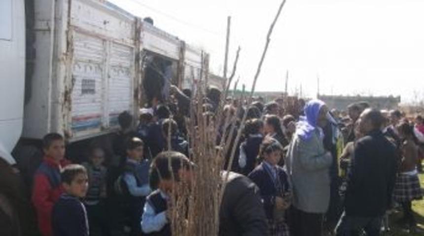 Sivil-der Ağa&ccedil;landırma Kampanyası