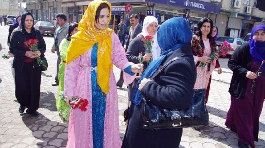 Viranşehir'de Kadınlara &lsquo;karanfil&rsquo; Dağıtıldı