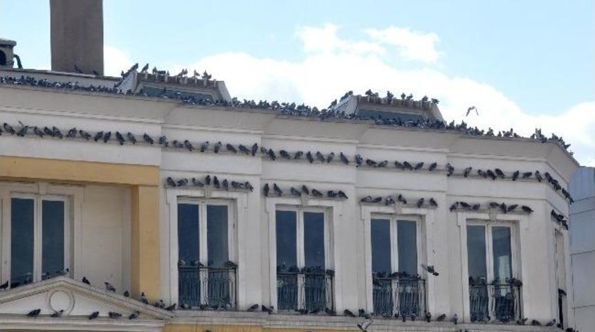 G&uuml;vercinler Binaları Sardı