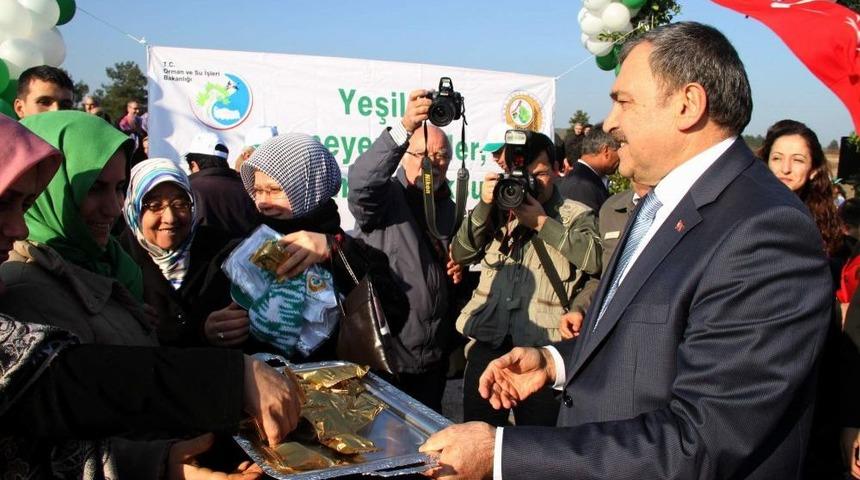Bakan Eroğlu, Önce Faydasını Anlattı Sonra Kestane Dağıttı