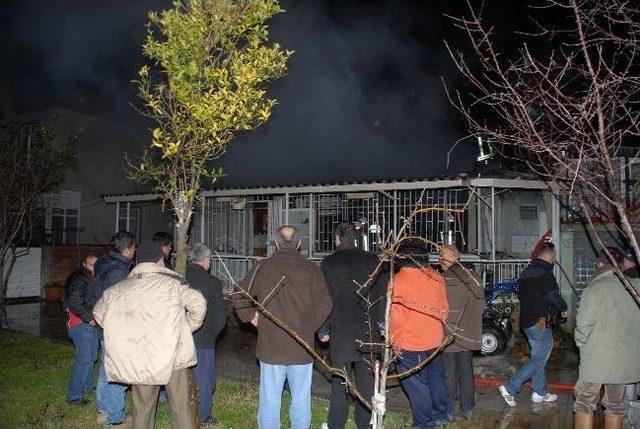 Samsun'da Yazlık Evdeki Yangın Korkuttu