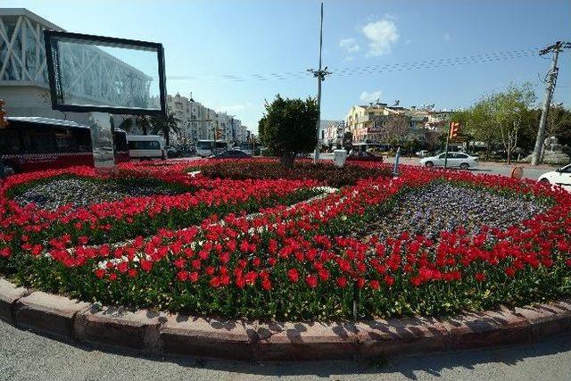 Büyükşehir Antalya’yı Lale Bahçesine Dönüştürdü