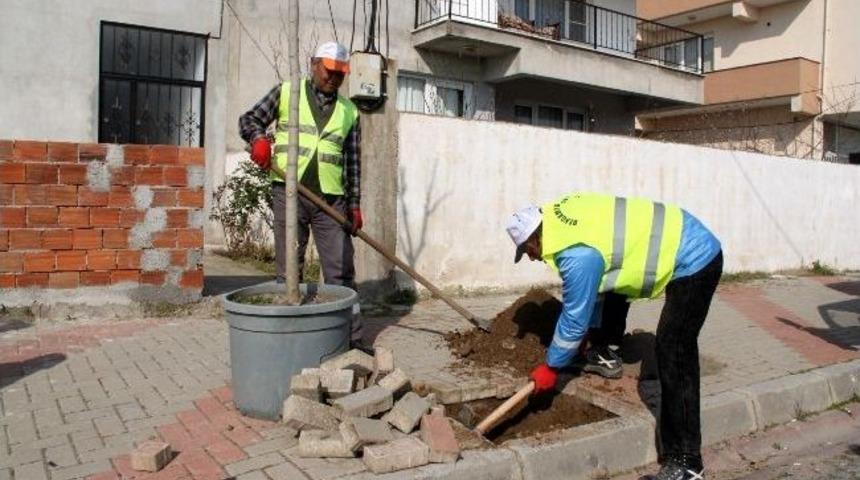 Daha Yeşil Bir Bergama İ&ccedil;in &Ccedil;alışmalar S&uuml;r&uuml;yor