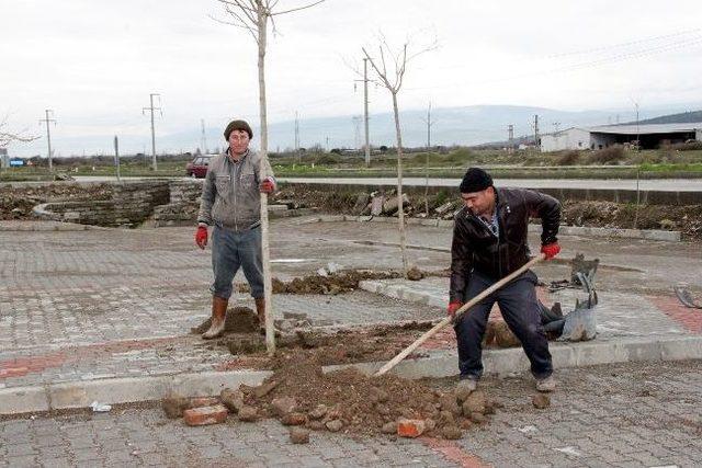 Daha Yeşil Bir Bergama İçin Çalışmalar Sürüyor