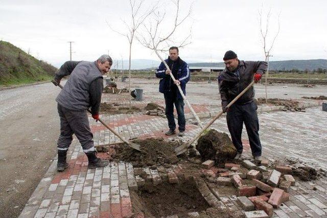 Daha Yeşil Bir Bergama İçin Çalışmalar Sürüyor