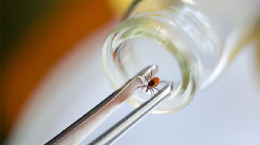 A&ccedil;lık hakkında hi&ccedil; bilmediğiniz 20 şey