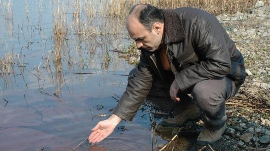 Sapanca G&ouml;l&uuml;&rsquo;n&uuml;n Kızıl Renge B&uuml;r&uuml;nmesi