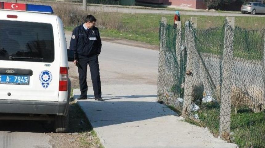 Polisten Koyun Operasyonu