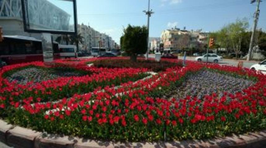 Antalya'da Ref&uuml;j Ve Kavşaklara 350 Bin Lale Ve S&uuml;mb&uuml;l Dikildi