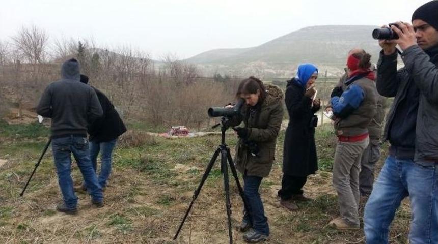 Şanlıurfa’da Kuşlara Nüfus Sayımı