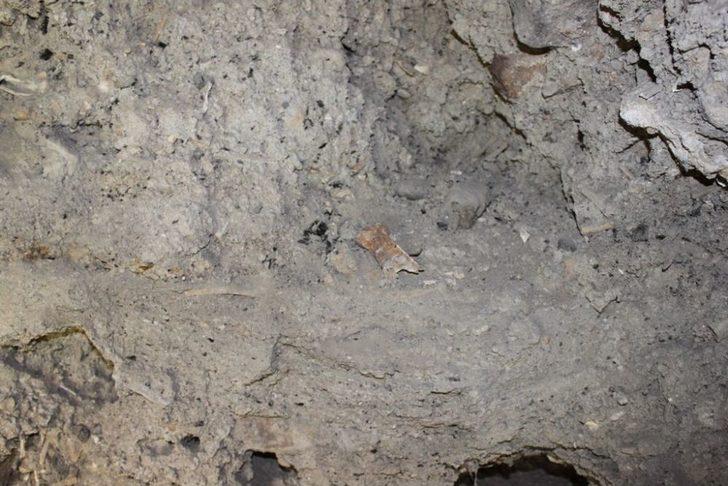 İçkale'de Bir Kuyuda Kemikler Bulundu G1