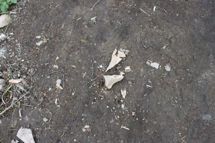 İçkale'de Bir Kuyuda Kemikler Bulundu G4