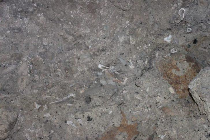 İçkale'de Bir Kuyuda Kemikler Bulundu G5