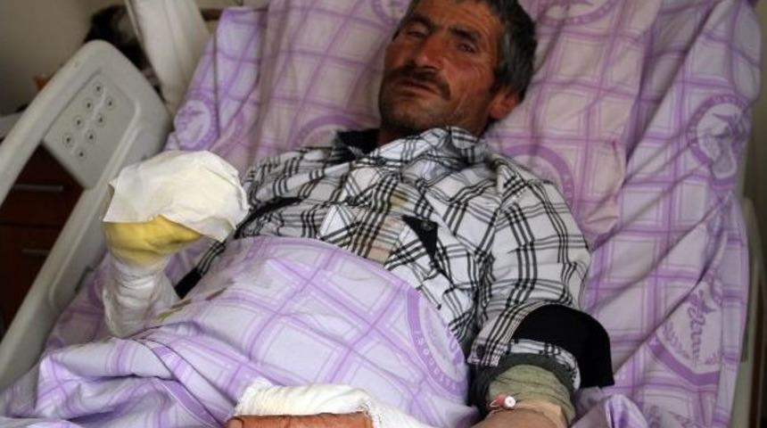 K&ouml;y&uuml; Basan Kurtlar 3 Kişiyi Yaralandı