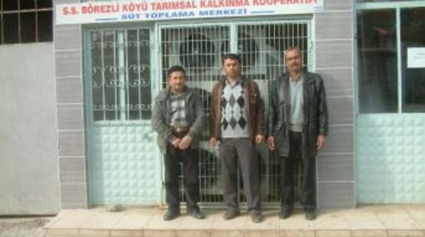 B&ouml;rezli&rsquo;de Hayvancılığa Kooperatif Desteği