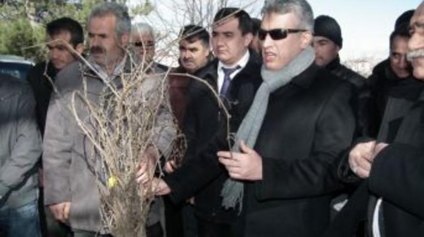 Afşinli &Ccedil;ift&ccedil;ilere Yarı Fiyatına Fidan