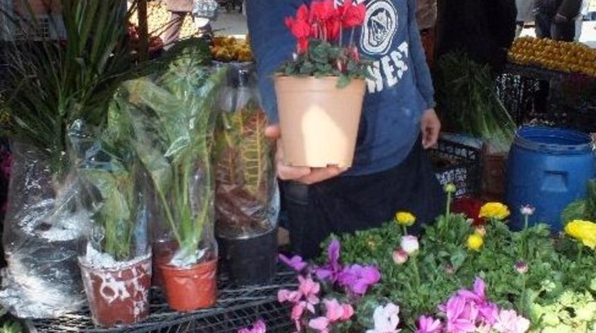 İlkbaharla Birlikte &Ccedil;i&ccedil;ek Satışları Başladı