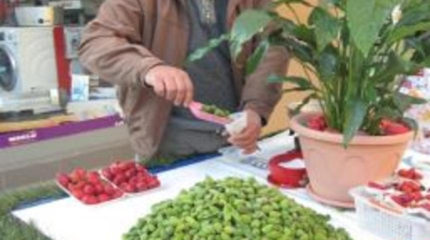 &Ccedil;ağla Badem Altın Gibi