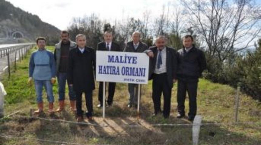 Vergi haftasında fidan diktiler