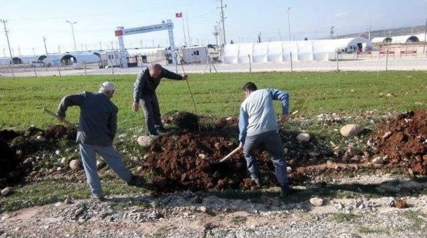 Suriyelilerin Kaldığı Kamp &Ccedil;evresi Ağa&ccedil;landırıldı