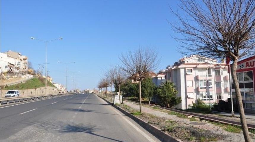 Tekirdağ Belediyesi&rsquo;nin Ağa&ccedil;landırma &Ccedil;alışmaları S&uuml;r&uuml;yor