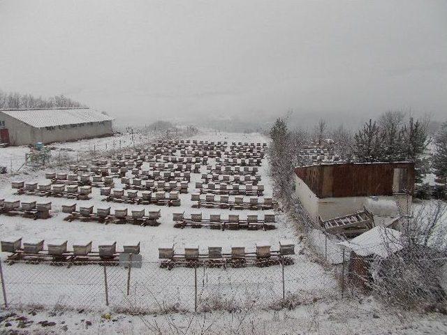 Tkdk Posofta Arıcılık Projelerinin Hazırlanmasına Yönelik Toplantı Düzenledi