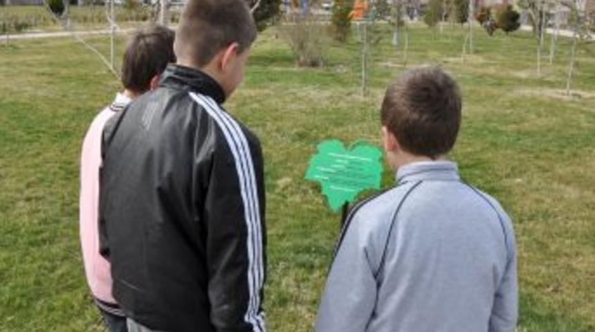 Uşak Belediyesi Parklardaki Bitkilere Tanıtıcı Tabela Koyuyor