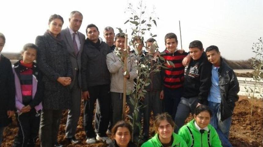 G&uuml;nbalı İlkokul Ve Ortaokulu Yeşile B&uuml;r&uuml;nd&uuml;