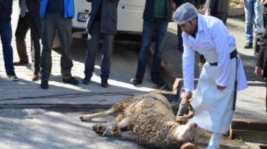 İstanbul'un Motorize Trafik Ekiplerine Taze Kan