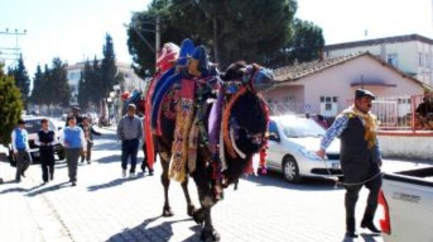 Sarıg&ouml;l&rsquo;de &Ouml;ğrenci Yurdu Yararına Deve G&uuml;reşi D&uuml;zenlendi