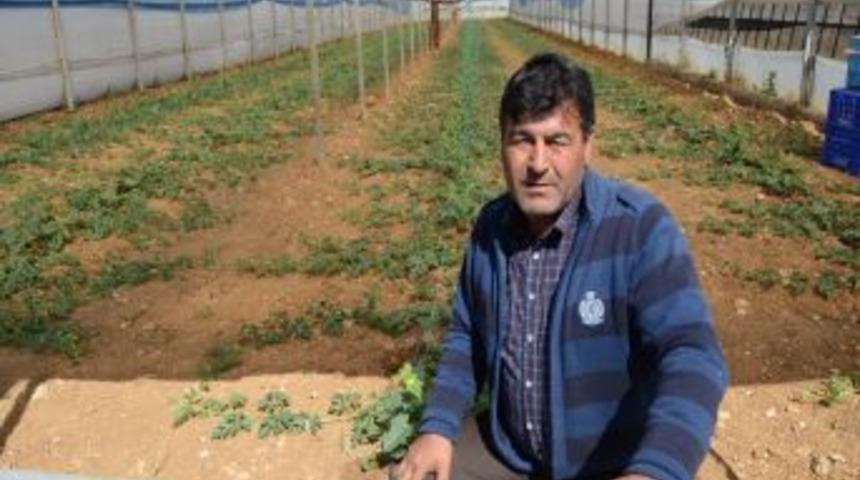 2B&rsquo;de Y&uuml;zde 50 Indirim Tatmin Etmedi