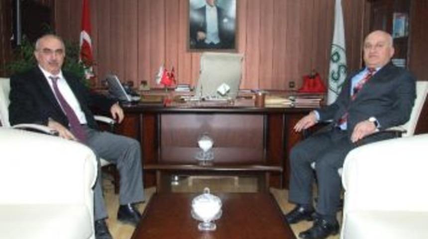 Derme &Ccedil;ayı&rsquo;nın Kurtarılması &Ccedil;alışması