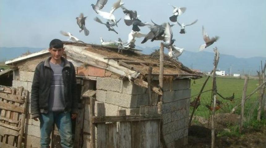 Hayatını Hayvanlara Adadı