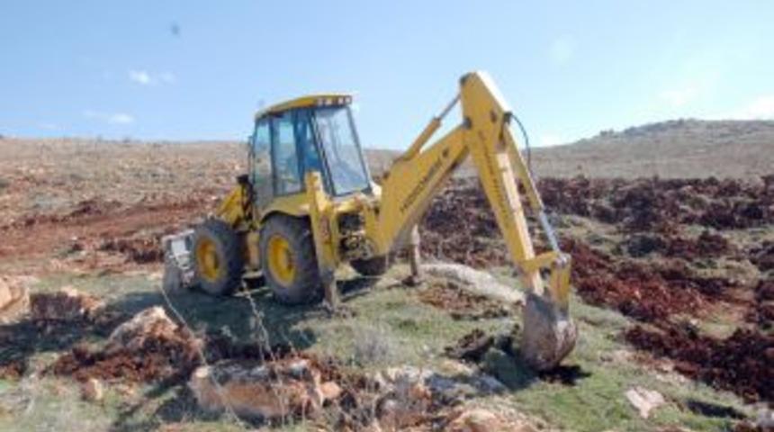 Cumhurbaşkanı G&uuml;l&rsquo;&uuml;n Ziyareti Anısına Hatıra Ormanı