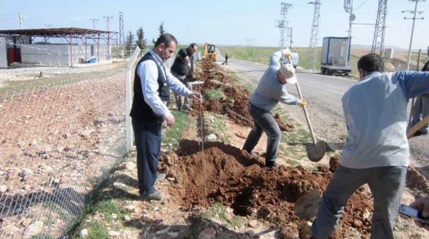 Suriyelilerin Kaldığı &Ccedil;adır Kent &Ccedil;evresi Ağa&ccedil;landırılıyor