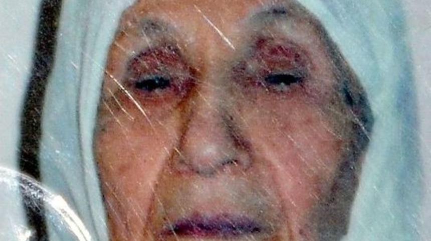 Asırlık &Ccedil;ınar Son Yolculuğuna Uğurlandı