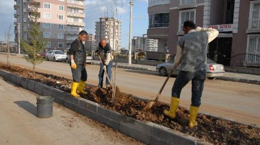 3. &Ccedil;evre Yolunda Peyzaj &Ccedil;alışması