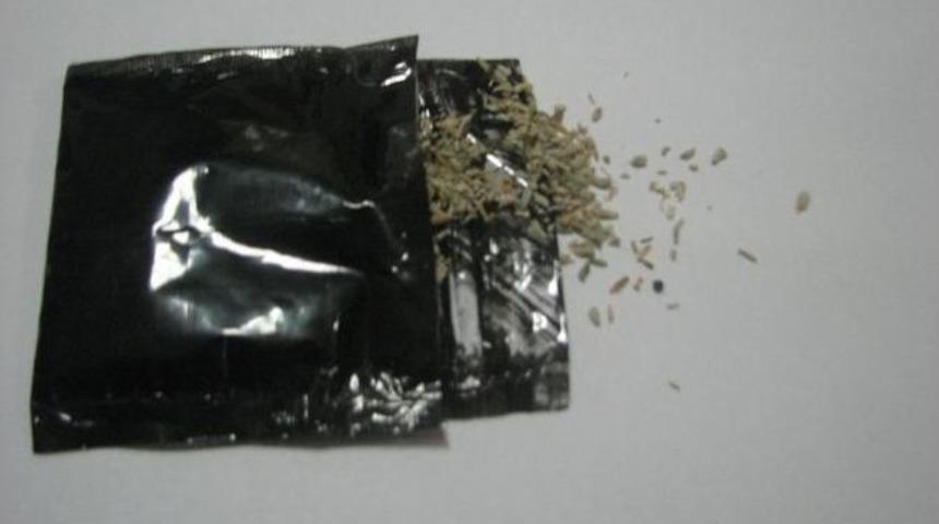 Otob&uuml;se Verilen Pakette Bonzai &Ccedil;ıktı