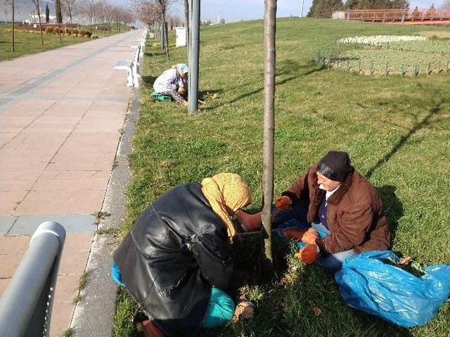 Kocaeli'nin Emekçi Kadınları