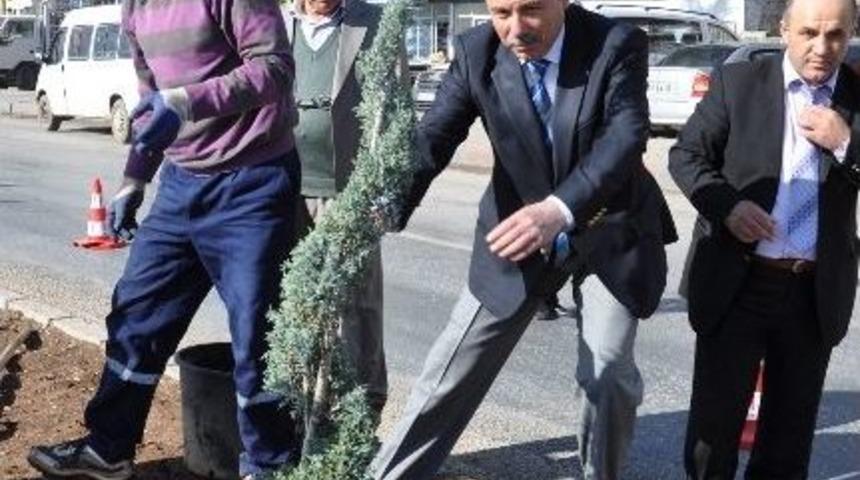 Eğirdir&rsquo;de Ağa&ccedil;landırma &Ccedil;alışmaları Devam Ediyor