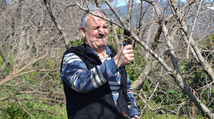 Nar Depoda &Ccedil;&uuml;r&uuml;d&uuml;, Bilin&ccedil;siz &Uuml;retici Eğitime Alınıyor