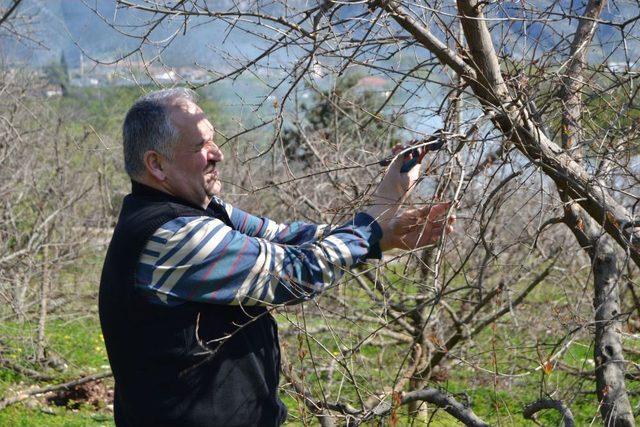 Nar Depoda Çürüdü, Bilinçsiz Üretici Eğitime Alınıyor