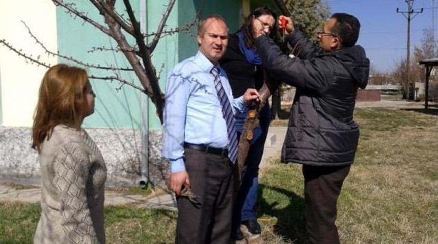 Balışeyh'te "aşılama Ve Budama" Eğitimi