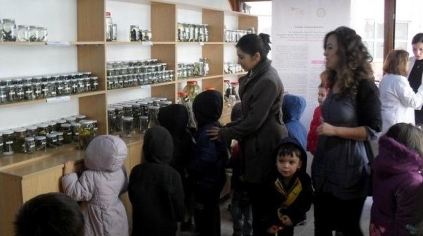 Minikler Zooloji M&uuml;zesi'ni Gezdi