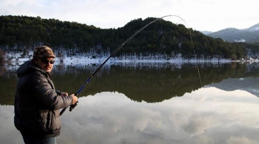 Sazan Balıklarının Av Yasağı 15 Mart&rsquo;ta Başlıyor