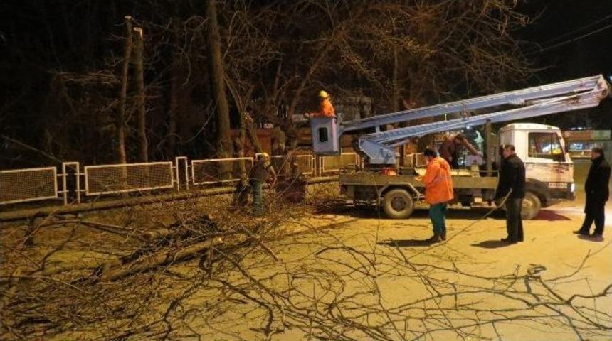 Vilayet Parkında D&uuml;zenleme