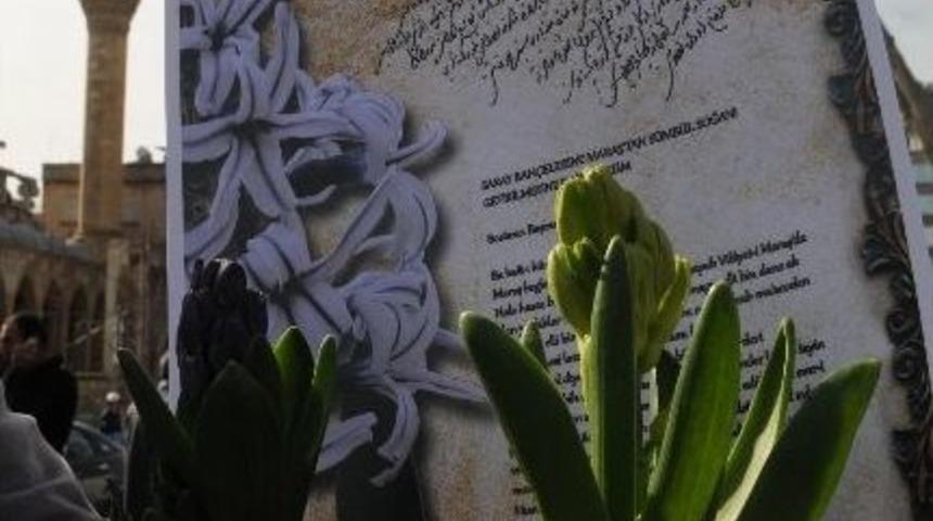 Saray S&uuml;mb&uuml;lleri Toprakla Buluştu