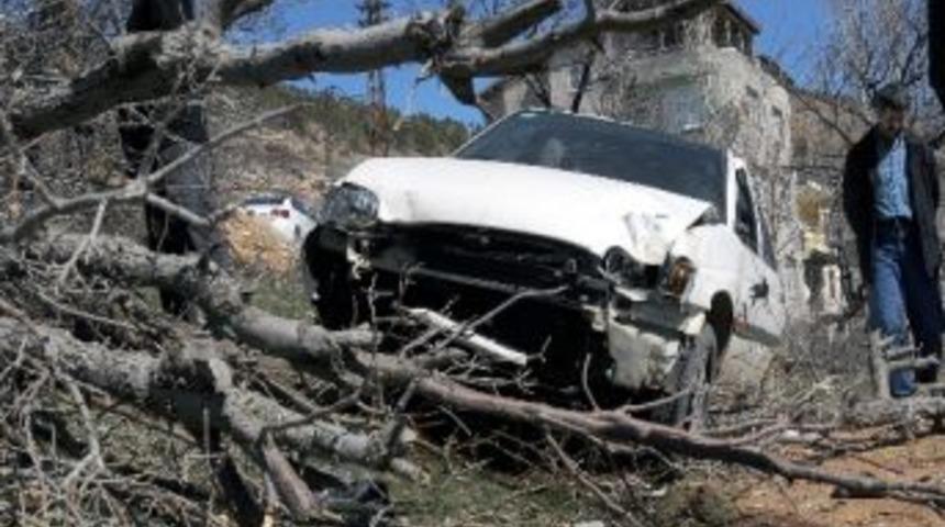 Otomobil Ağa&ccedil;a &Ccedil;arptı: 1 Yaralı