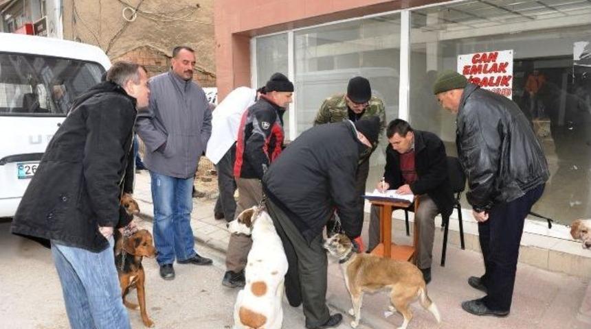 Boz&uuml;y&uuml;k&rsquo;te K&ouml;peklere &Uuml;cretsiz Kuduz Aşısı Kampanyası